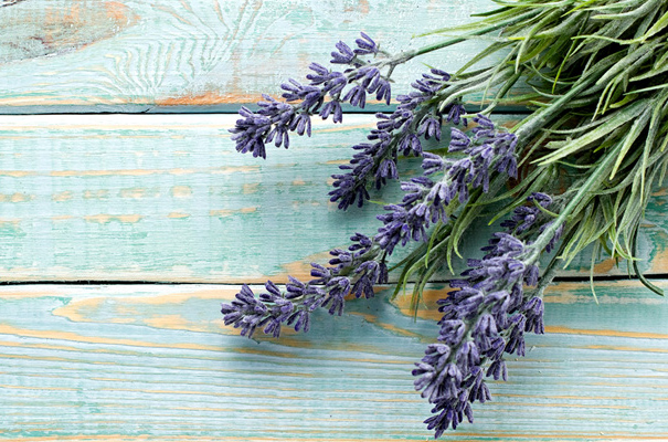 Dried Lavender Flowers