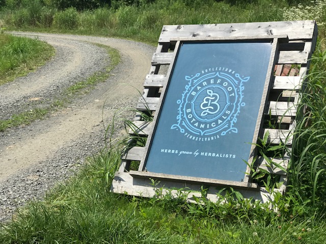 Entrance road to Barefoot Botanicals