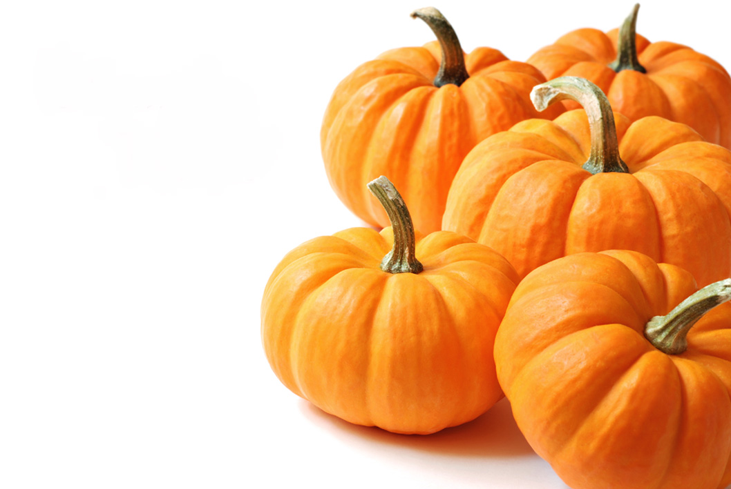 Pile of pumpkins