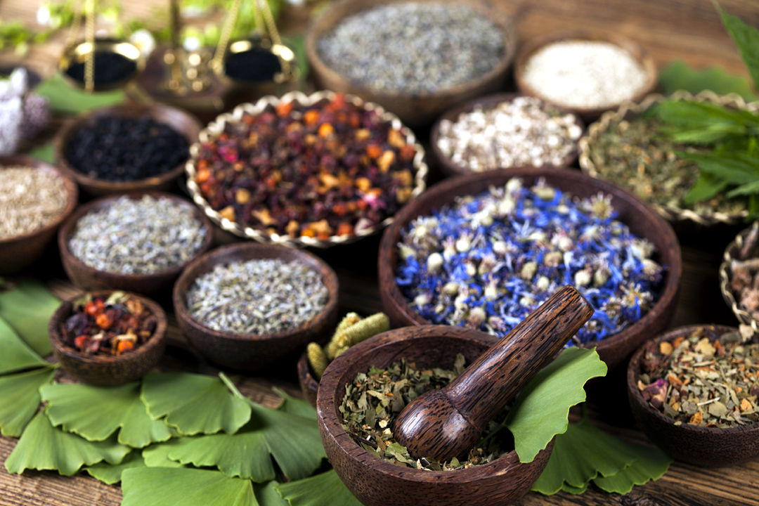 Penn Herb Company Blog Herbs and Natural Remedies since 1924